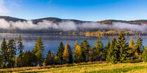 Schluchsee im Schwarzwald von dieterich-fotografie