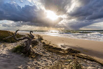 Weststrand auf dem Darß an der Ostsee bei Sturm by dieterich-fotografie