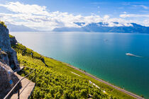 Weinbaugebiet Lavaux am Genfer See in der Schweiz von dieterich-fotografie