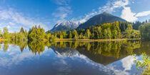 Moorweiher bei Oberstdorf by Walter G. Allgöwer