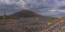 Arenas Negras, Teneriffa by Walter G. Allgöwer