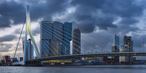 Rotterdam von Walter G. Allgöwer