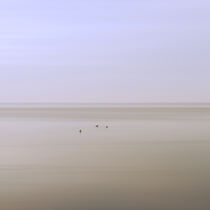 3 Enten im Wasser by Dietmar Ysop
