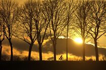 Radfahrer bei Sonnenuntergang by Edgar Schermaul