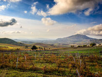 Sicilia by Anatole Klapouch