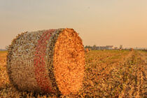PIXEL ART on a hay cylindrical bale von susanna mattioda