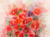 Rote Herbstastern. Blumenaquarell gemalt. by havelmomente