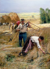 Harvesting  von Julien Dupre