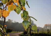 Herbststimmung by Susanne Winkels