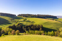 Frühling bei St. Peter im Schwarzwald von dieterich-fotografie