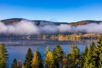 Morgennebel am Schluchsee im Schwarzwald von dieterich-fotografie