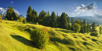 Buckelwiesen zwischen Mittenwald und Krün, Werdenfelser Land by Walter G. Allgöwer