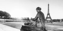 Platz Trocadéro und der Eiffelturm in Paris von dieterich-fotografie