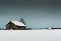 White Snow Under The Dark Skies