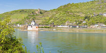 Burg Pfalzgrafenstein by Walter G. Allgöwer