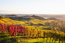 Weinberge und Blick zur Grabkapelle in Stuttgart by dieterich-fotografie