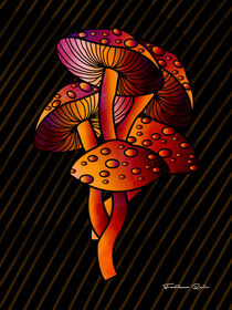 Mushroom von FABIANO DOS REIS SILVA