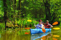 Kanu fahren im Spreewald. Gemalt. by havelmomente