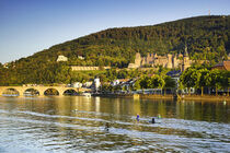 Heidelberg mit Schloss und Alter Brücke by Susanne Fritzsche