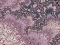 Mauve Pink and Ivory Fractal Nine by Elisabeth  Lucas