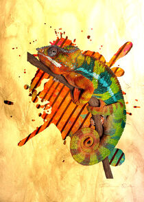 Chameleon by FABIANO DOS REIS SILVA