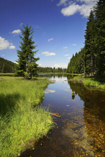 Kleiner Arbersee, Bayerischer Wald - Small Arber Lake, Bavarian Forest by Susanne Fritzsche