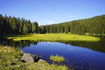 Kleiner Arbersee - Small Arber lake by Susanne Fritzsche