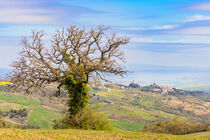 Castiglione d'Orcia von Dirk Rüter