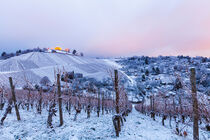 Grabkapelle und Weinberge im Winter in Stuttgart von dieterich-fotografie