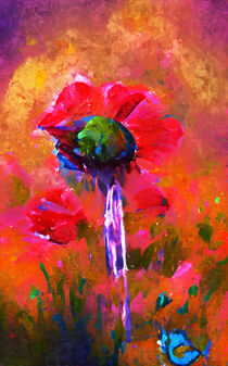 Mohnblume mit Wasserfall. Abstrakte Kunst. by havelmomente