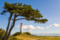 Leuchtturm Dornbusch auf der Insel Hiddensee von dieterich-fotografie