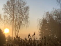 Nebel aufm Feld  von germartgallery