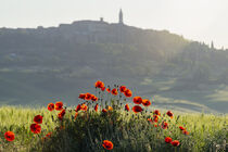 Sonnenaufgang bei Pienza in der Toskana by Walter G. Allgöwer