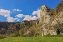 Frühling im Naturpark Obere Donau bei Fridingen by Christine Horn