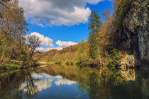 Uferlandschaft Donau bei Fridingen - Naturpark Obere Donau by Christine Horn