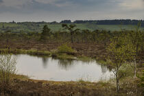 Das Moorauge im Schwarzen Moor/Rhön by Holger Spieker