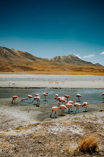 Bolivien by Stefan Becker