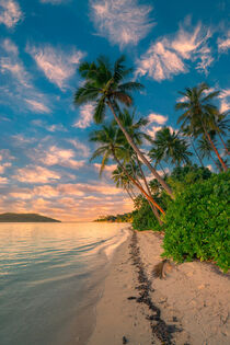 Fiji by Stefan Becker