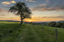 Abendstimmung im Frühling von Holger Spieker