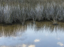 Water & Clouds von Maresa Pryor-Luzier