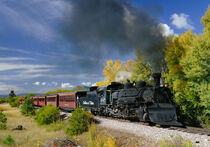 Steam Locomotive  von Maresa Pryor-Luzier