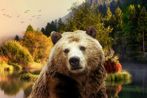 Braunbär und Wald - Brown Bear and Forest by Erika Kaisersot