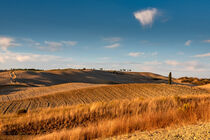 Val d`Orcia , Tuscany, Italy by Eleni Kouri