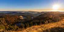 Blick vom Feldberg im Schwarzwald von dieterich-fotografie