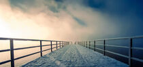 Steg Cospudener See im Sonnenlicht, Nebel und Winter Bild 2 by lichtbilder