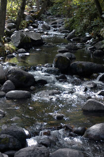 Babbling Brook Deep in the Greenwood by Sally White