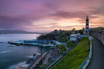 Smeaton's Tower in Plymouth von Moritz Wicklein