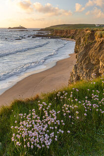 Gwithian Beach und Godrevy Lighthouse von Moritz Wicklein