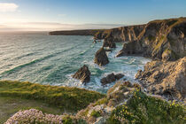 Bedruthan Steps von Moritz Wicklein