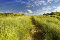 A walk in the dunes von Susanne Fritzsche